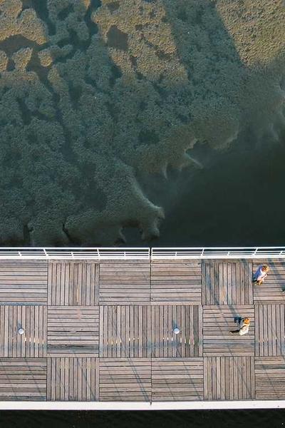 國際青少年科學(xué)競賽