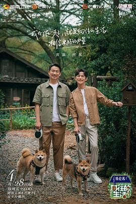 國際電子競技大賽